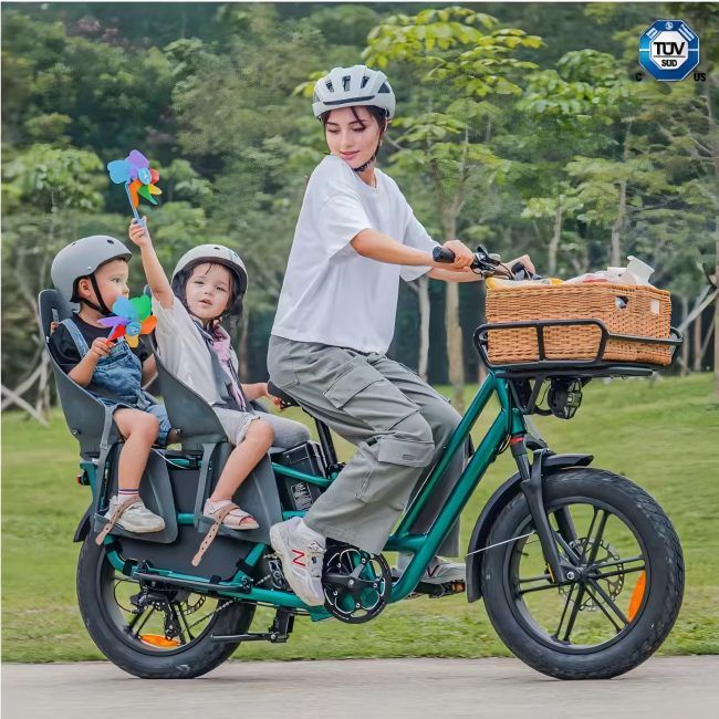 Dual-Battery Electric Cargo Bike suppliers