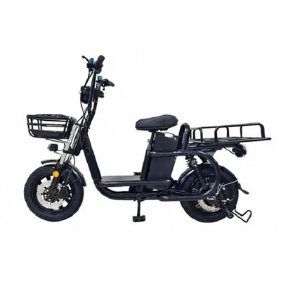 Biciclette Elettriche Cargo per Famiglie